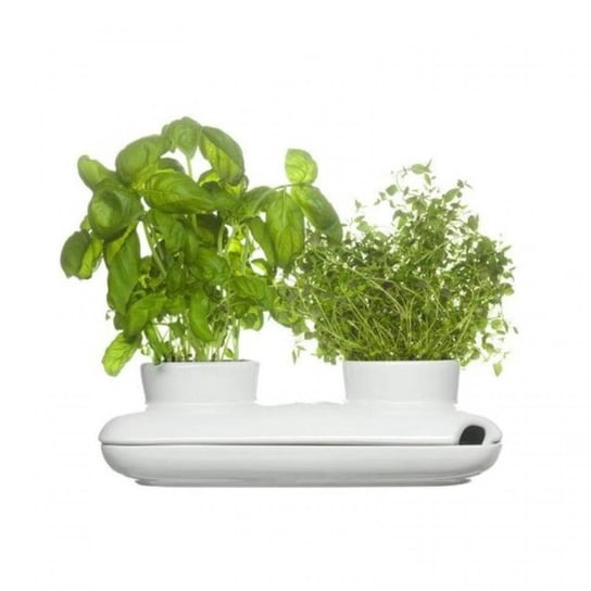 Doniczka na zioła SAGAFORM Herbs&Spices, biały, 27x13x8 cm Sagaform