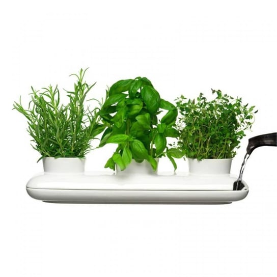 Doniczka na zioła SAGAFORM Herbs&Spices, potrójna, biała, 40x13x8 cm Sagaform
