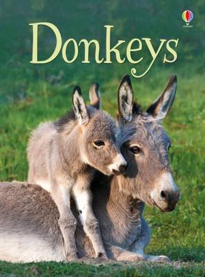 Donkeys Maclaine James