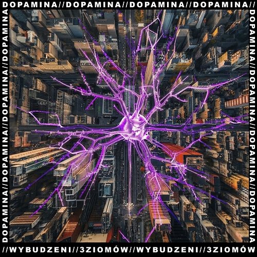 DOPAMINA 3ZIOMÓW, WYBUDZENI