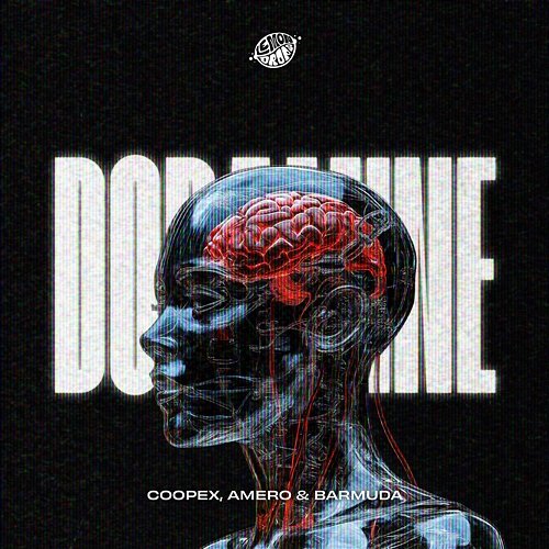 Dopamine Coopex, Barmuda