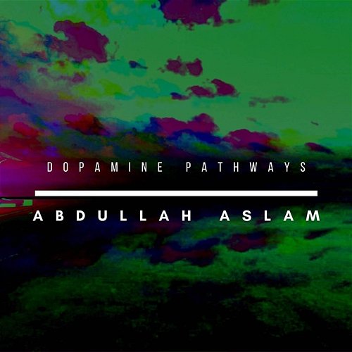 Dopamine Pathways Abdullah Aslam