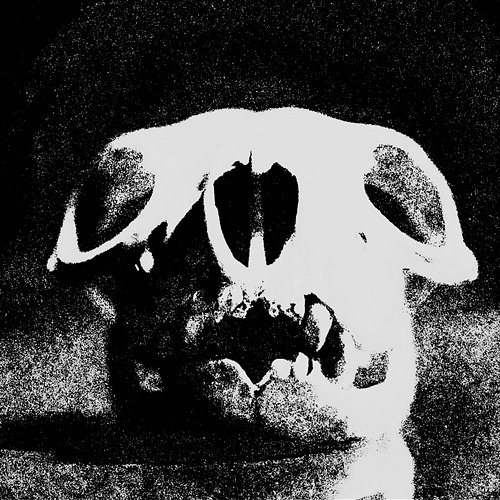 DOPE PHONK SMXKE feat. WRLDS