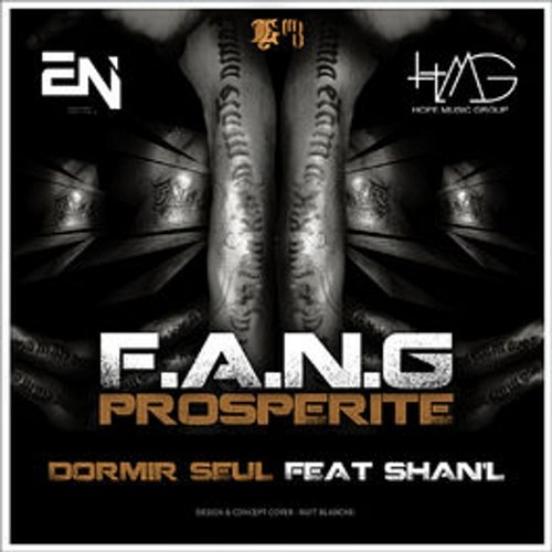Dormir seul Fang The Goldenman feat. Shan’L