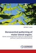 Dorsoventral patterning of maize lateral organs. Juarez Michelle T.