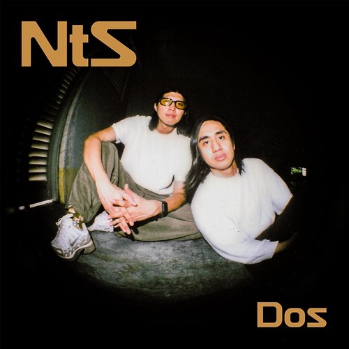 Dos Never The Strangers