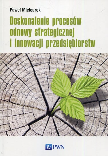 Doskonalenie procesów odnowy strategicznej i innowacji przedsiębiorstw Mielcarek Paweł