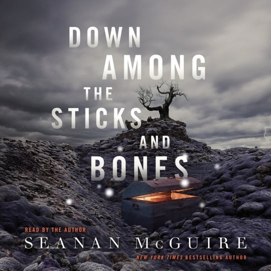 Down Among the Sticks and Bones Seanan McGuire