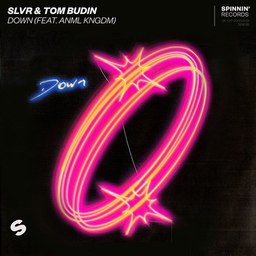 Down SLVR & Tom Budin feat. ANML KNGDM