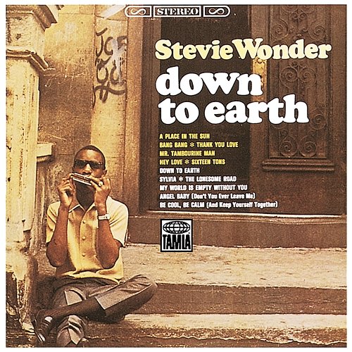 Down To Earth Stevie Wonder