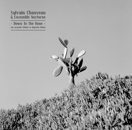 Down To The Bone Chauveau Sylvain, Ensemble Nocturne
