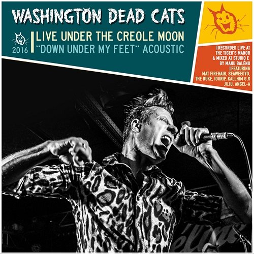 Down Under My Feet (Live Acoustic) Washington Dead Cats