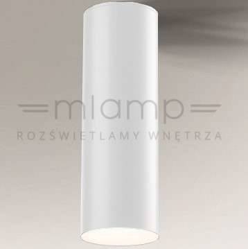 Downlight LAMPA sufitowa SUWA 7722 Shilo łazienkowa OPRAWA tuba IP44 biała Shilo