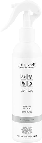 DR LUCY Szampon na sucho [DRY CARE] 250 ml DR LUCY