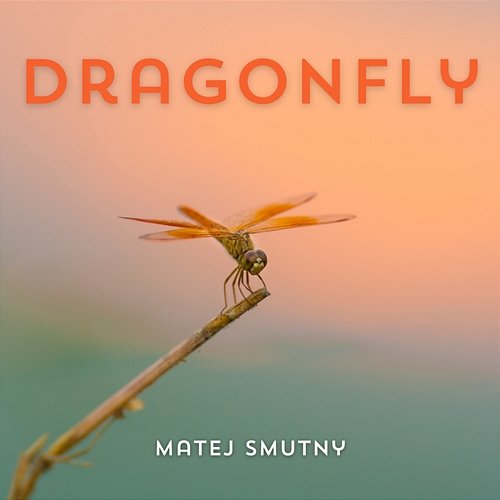 Dragonfly Matej Smutný
