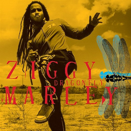 Dragonfly Ziggy Marley