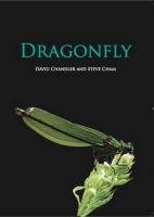 Dragonfly Chandler David