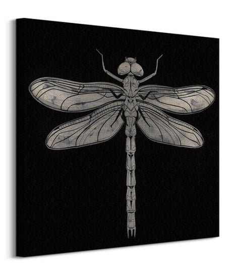Dragonfly - Obraz na płótnie Pyramid International