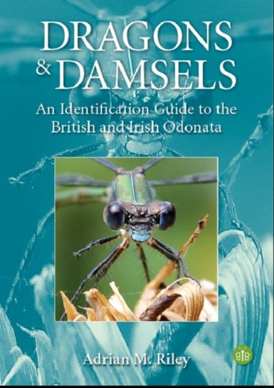 Dragons and Damsels An identification guide to the British and Irish ...