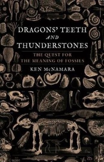 Dragons Teeth and Thunderstones: The Quest for the Meaning of Fossils Kenneth J. McNamara