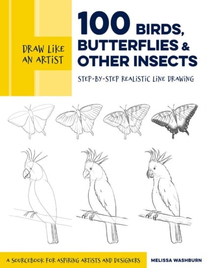 Draw Like an Artist. 100 Birds, Butterflies, and Other Insects. Step-by-Step Realistic Line Drawing Melissa Washburn