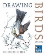 Drawing Birds Busby John