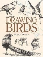 Drawing Birds Sheppard Raymond