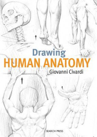 Drawing Human Anatomy Civardi Giovanni