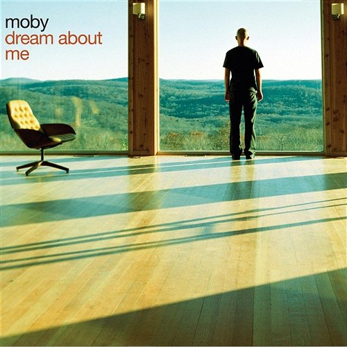 Dream About Me / Feeling So Real Moby