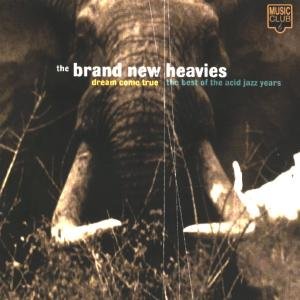 Dream Come True : The Best of the Acid Jazz Years The Brand New Heavies