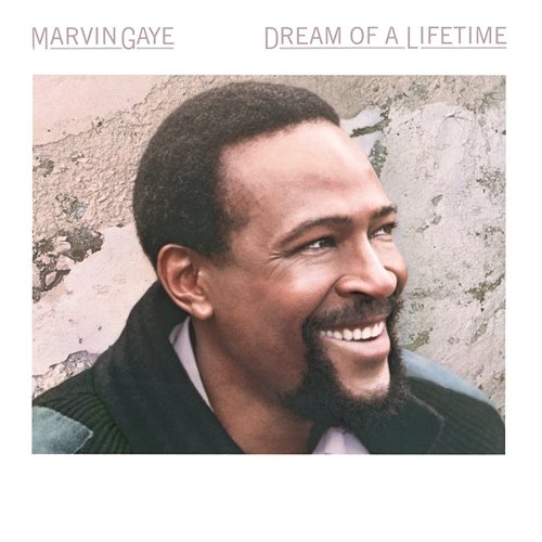 Dream Of A Lifetime Marvin Gaye