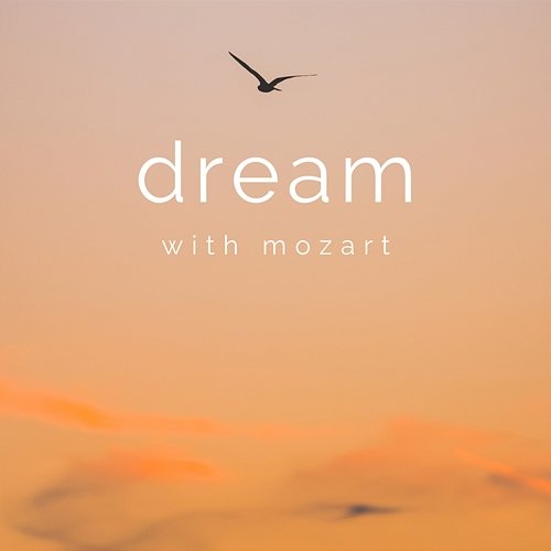 Dream with Mozart Various Artists