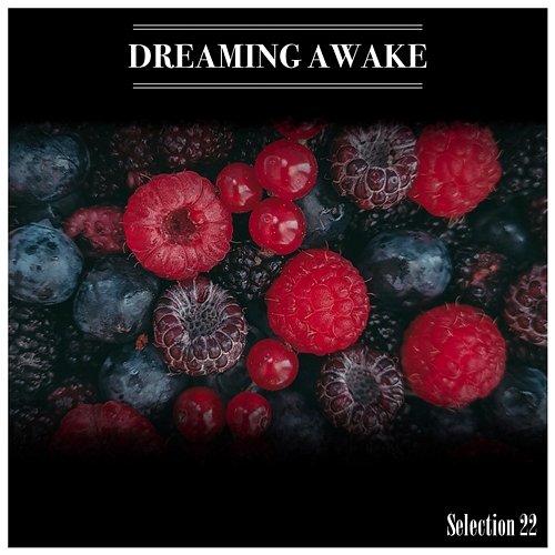 Dreaming Awake Selection 22 Various Artists