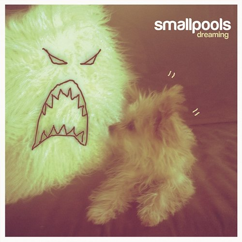 Dreaming Smallpools