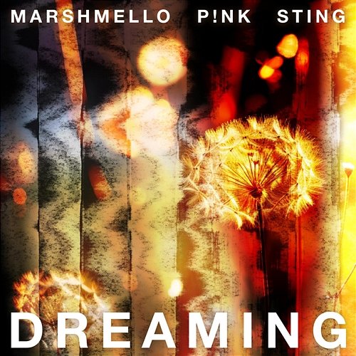 Dreaming Marshmello, P!nk, Sting