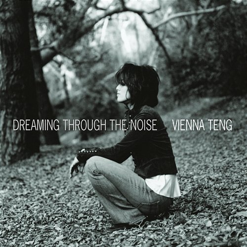 Dreaming Through The Noise Vienna Teng