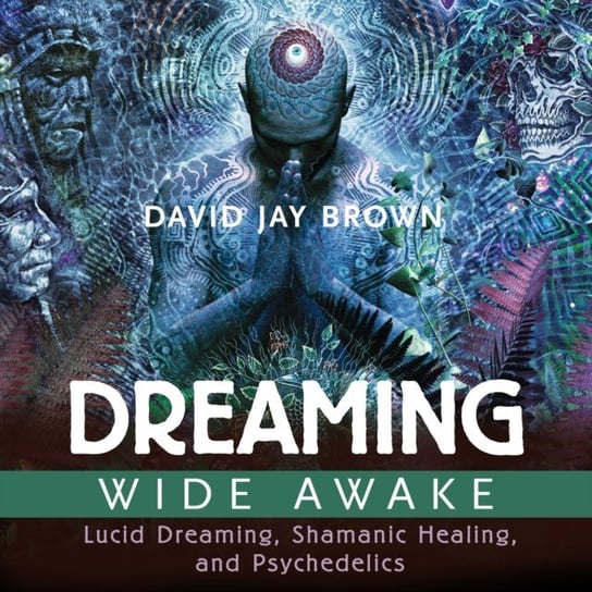 Dreaming Wide Awake Brown David Jay
