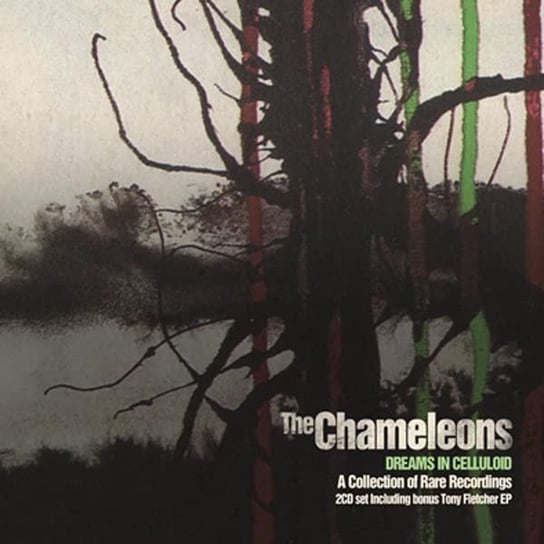 Dreams In Celluloid The Chameleons