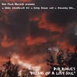 Dreams Of A Lost Soul Dub Rogue's