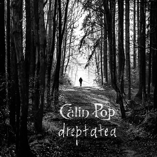 Dreptatea Calin Pop
