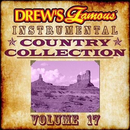 Drew's Famous Instrumental Country Collection The Hit Crew