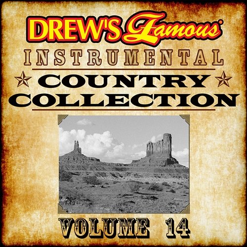 Drew's Famous Instrumental Country Collection Vol. 14 The Hit Crew