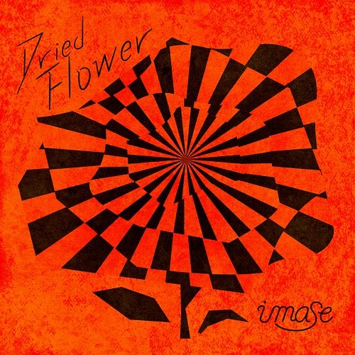 Dried Flower imase