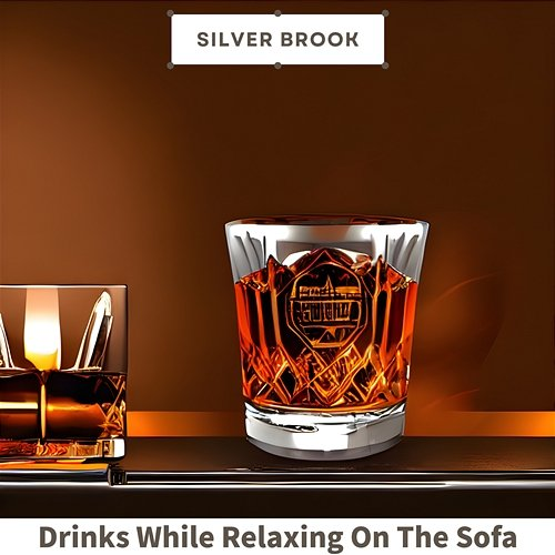Drinks While Relaxing on the Sofa Silver Brook