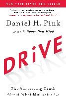 Drive: The Surprising Truth about What Motivates Us Pink Daniel H.