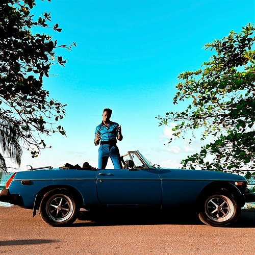 Driver Romain Virgo