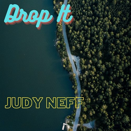 Drop It Judy Neff