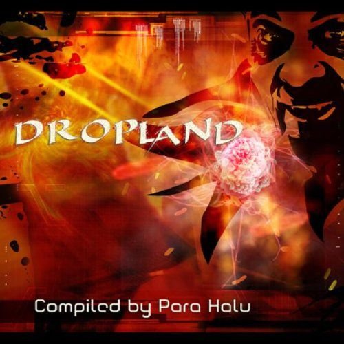 Dropland - Compiled by Para Halu Various Artists