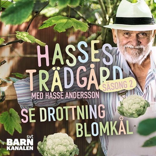 Drottning Blomkål Hasse Andersson