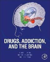 Drugs, Addiction, and the Brain Koob George, Arends Michael A., Moal Michel